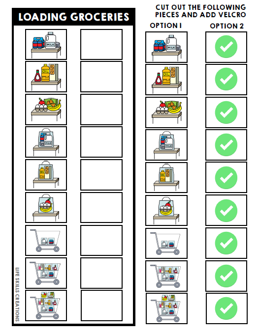 Life Skills Visual - Task Analysis - Loading Groceries - Special Education