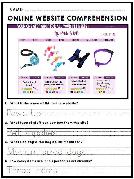 Life Skills - Reading - Online Shopping - Website Comprehension
