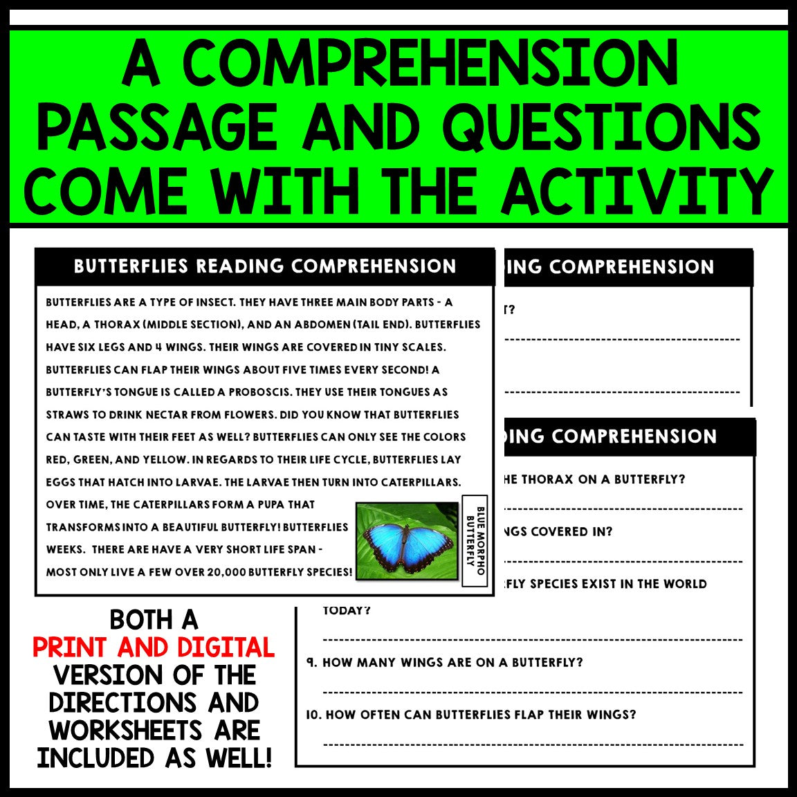 Spring Art - Coffee Filter Butterfly Craft - Reading Comprehension