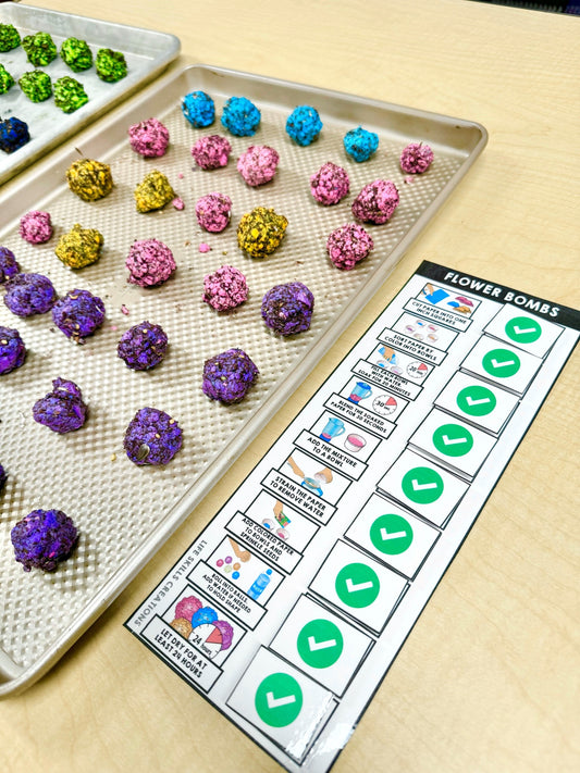 Seed Bomb Visual Recipe - Task Analysis - Autism - Life Skills