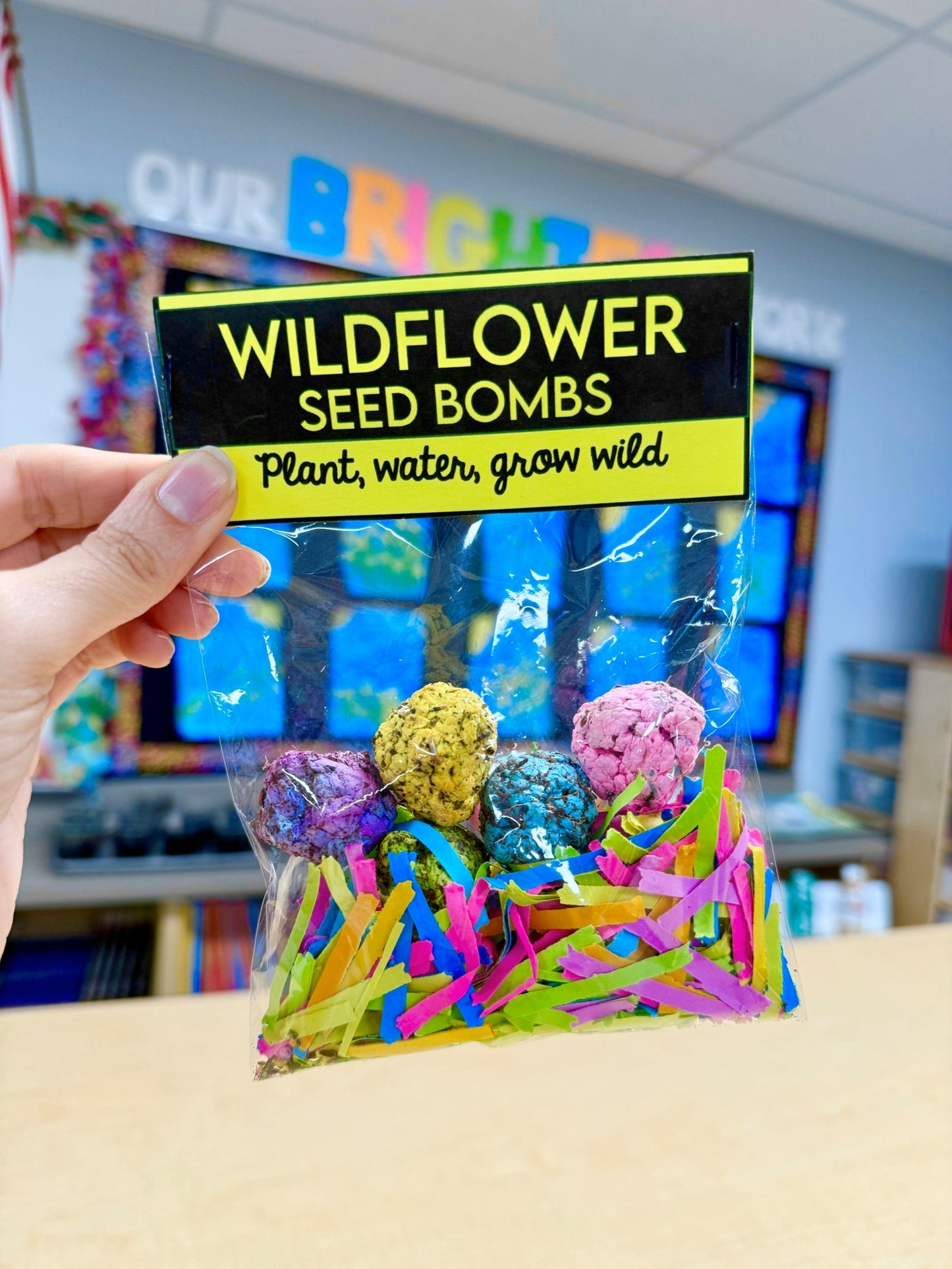 Seed Bomb Visual Recipe - Task Analysis - Autism - Life Skills