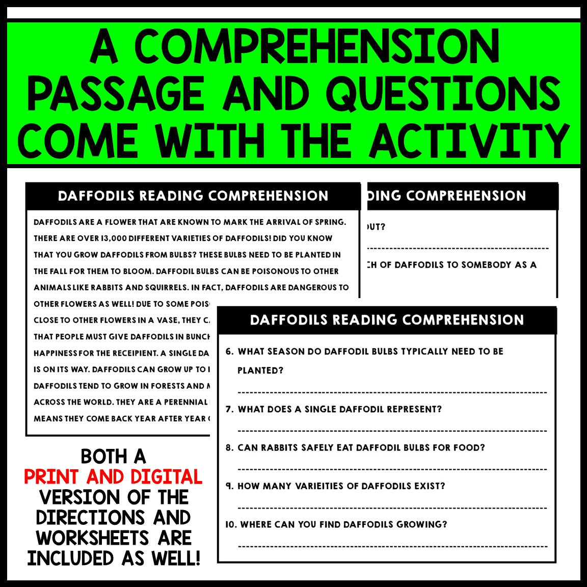 Spring Art - Spring Flowers Directed Drawing - Reading Comprehension