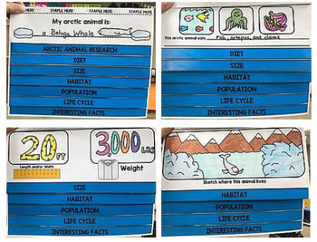 Arctic Animals Research - Interactive Notebook - Special Education - Winter - Unit 3