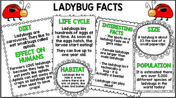 Google Drive - Insect Research - Special Education -- Spring - Unit One