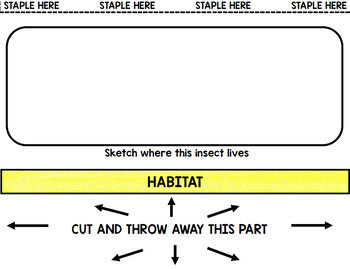 Insect Research - Interactive Notebook - Special Education - Spring - Reading