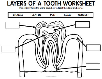 Dental Health - Teeth - Special Education - Life Skills - Craftivity