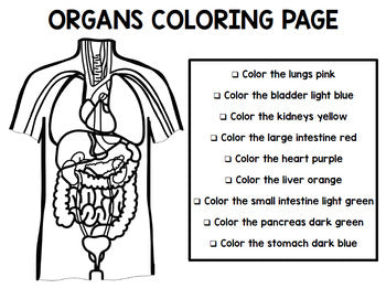 Human Body - Organs - Special Education - Science - Reading - Writing - Unit Two