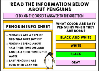 Life Skills - Virtual Field Trip - Going to the Zoo - BOOM CARDS - CBI