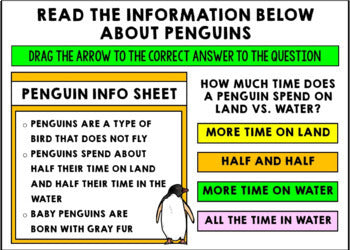 Life Skills - Virtual Field Trip - Going to the Zoo - GOOGLE - Distance Learning