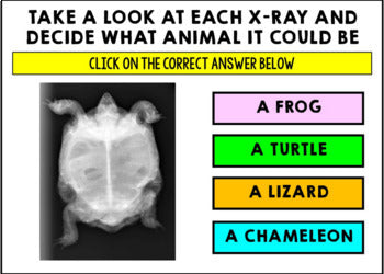 Life Skills - Virtual Field Trip - Vet Office - Pets - BOOM CARDS - CBI - Jobs