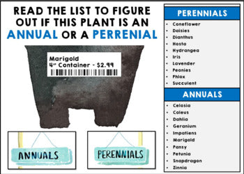Job Skills - Life Skills - Work Experience - Vocational Training - Garden Center