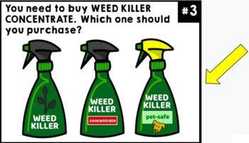 Life Skills - Shopping - Spring - Task Cards - Special Education - GOOGLE