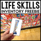 Life Skills and Jobs Skills - Inventory Freebie