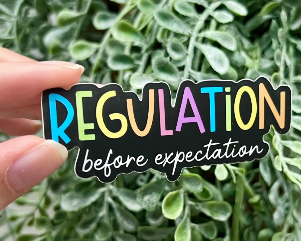 Regulation Before Expectation Vinyl Sticker – Life Skills Creations