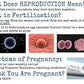 Sex Education: Special Education and Life Skills Curriculum BUNDLE