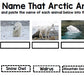 Arctic Animals Research - Special Education - Life Skills - Reading - Writing - Unit 1