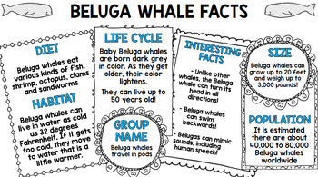 Arctic Animals Research - Special Education - Life Skills - Reading - Writing - Unit 1