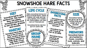 Arctic Animals Research - Special Education - Life Skills - Reading - Writing - Unit 2