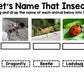 Google Drive - Insect Research - Special Education -- Spring - Unit One