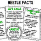 Insect Research - Special Education - Reading - Writing - Spring - Unit Two
