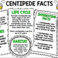 Insect Research - Special Education - Reading - Writing - Spring - Unit Two