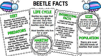 Insect Research - Print & Go Bundle - Special Education - Reading - Spring