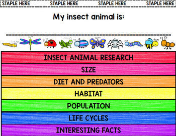Insect Research - Print & Go Bundle - Special Education - Reading - Spring