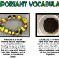 STEM Activity - Oil Spill Challenge - Earth Day - Special Education - Science