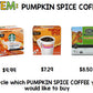 Fall Budget - Special Education - Shopping - Life Skills - Money - Autumn