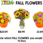 Fall Budget - Special Education - Shopping - Life Skills - Money - Autumn