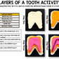 Dental Health - Teeth - Special Education - Life Skills - BUNDLE