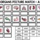 Human Body - Organs - Special Education - Science - Reading - Writing - Unit Two