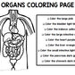 Human Body - Organs - Special Education - Science - Reading - Writing - Unit Two