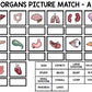 Human Body - Organs - Special Education - Science - Reading - Writing - BUNDLE