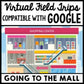 Life Skills - Virtual Field Trip - Going to the Mall - GOOGLE - CBI - Transition