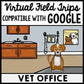 Life Skills - Virtual Field Trip - Vet Office - Pets - GOOGLE - CBI - Job Skills