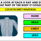 Life Skills - Virtual Field Trip - Doctor's Office - Medicine - BOOM CARDS - CBI
