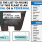 Job Skills - Life Skills - Work Experience - Vocational Training - Garden Center