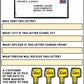 Job Skills - Life Skills Warm Ups - Vocational Skills - Post Office