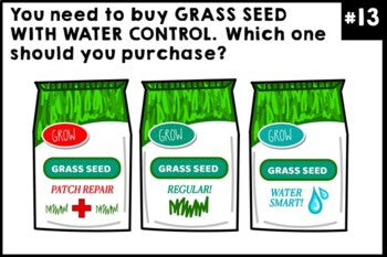 Life Skills - Shopping - Spring - Task Cards - Special Education - Boom Cards